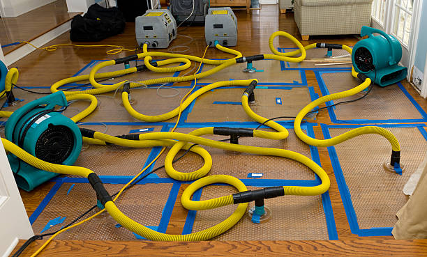 Professional Crawl Space Water Removal technician working in Monroe, OH